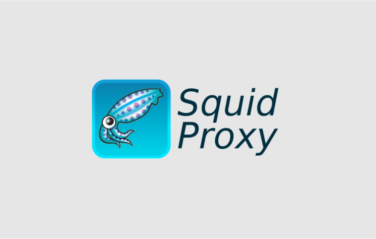 Proxy Proxy